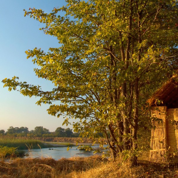 En af hytterne udefra, Mwaleshi Lodge, North Luangwa, Zambia