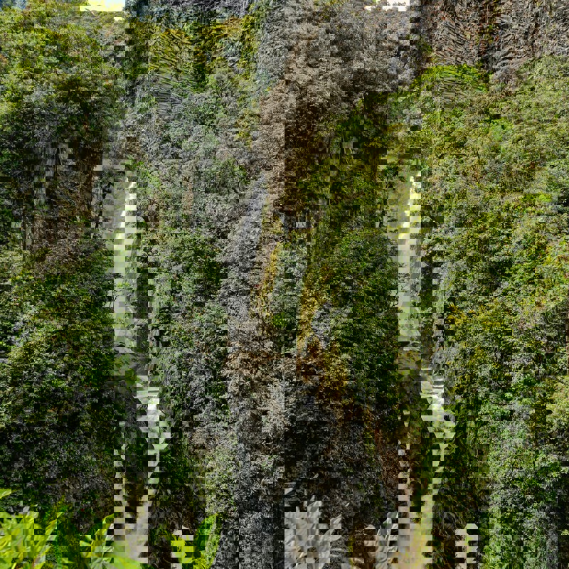 kiyoshi-Bn9HsqgHcow-unsplash