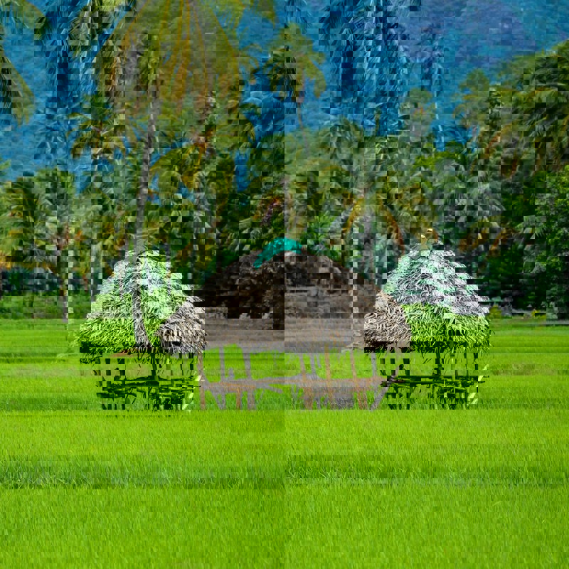 sreehari-devadas-t-3qo5bGC0Q-unsplash