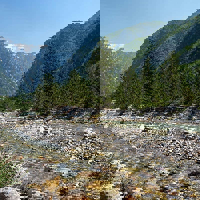 ilse-uJktk_q5Lyg-unsplash