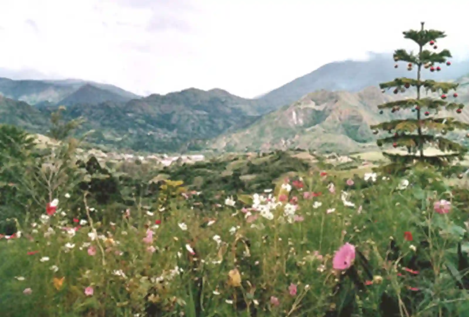 vilcabamba natur