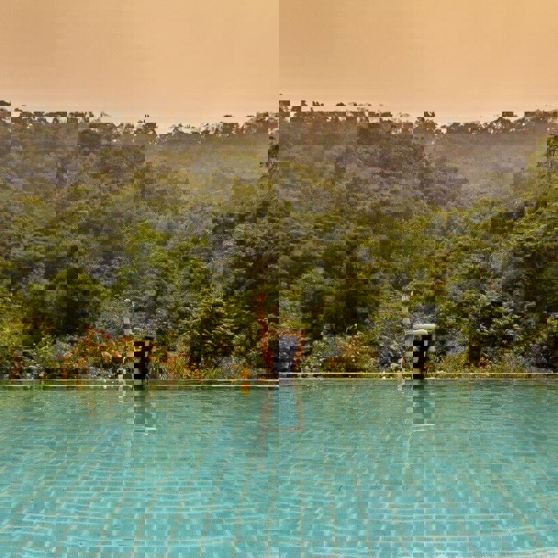 Pooludsigt til skoven , Namkat Yorla Pa