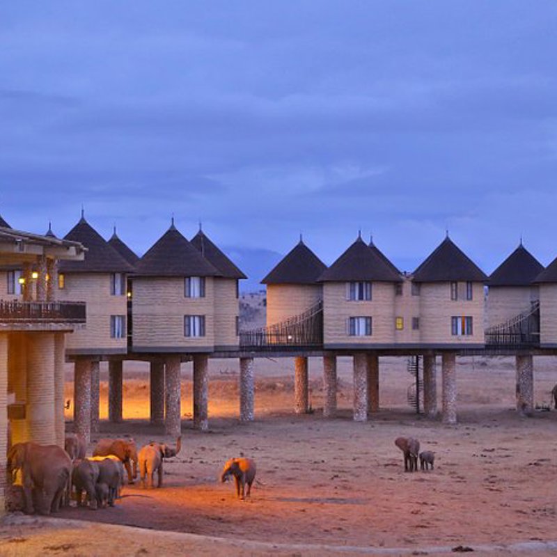 salt-lick-safari-lodge