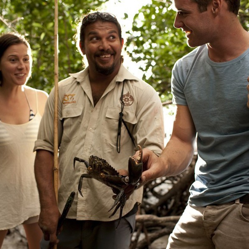 Der fanges krabber, Australien