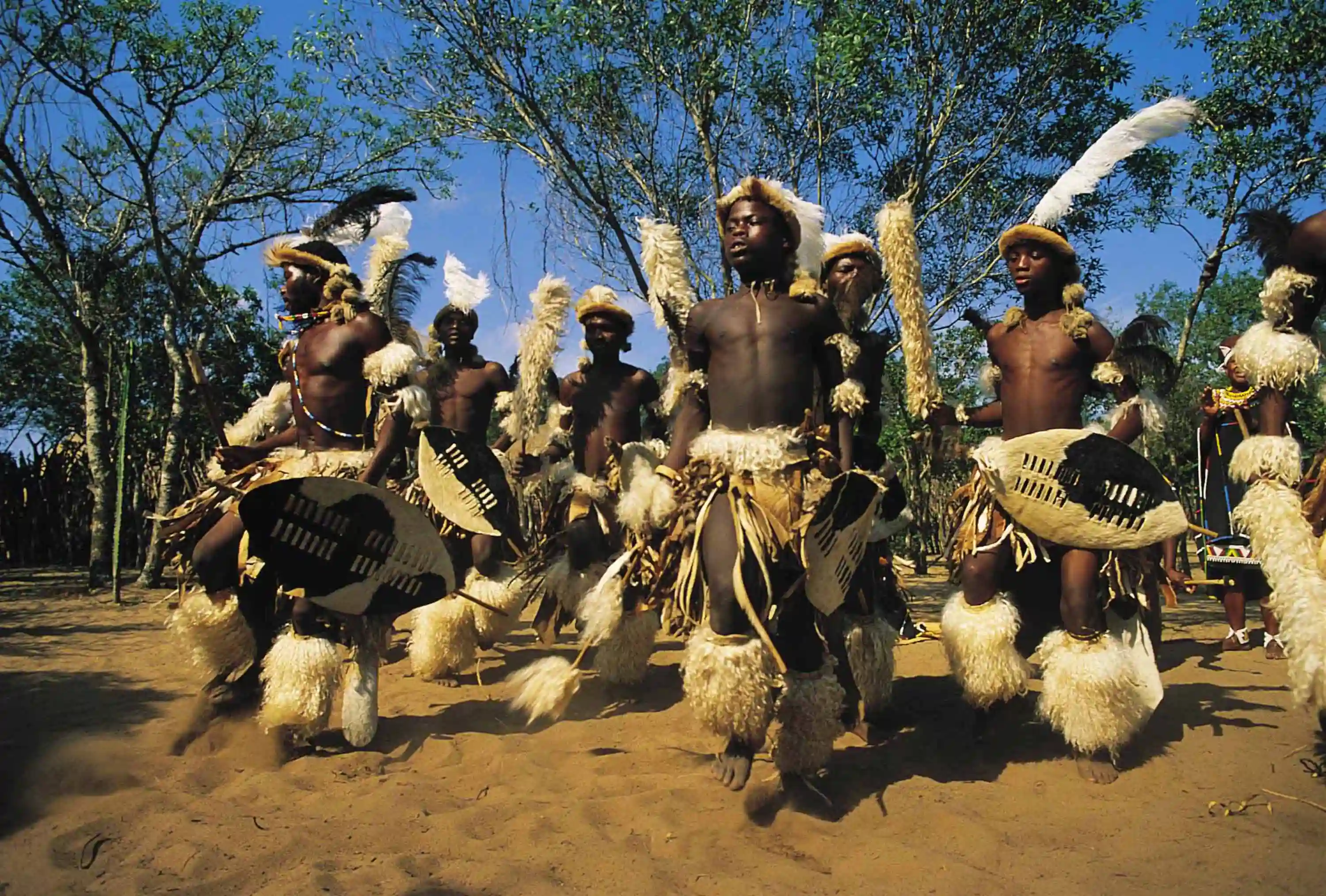 Zulu dansere, KwaZulu Natal, Sydafrika