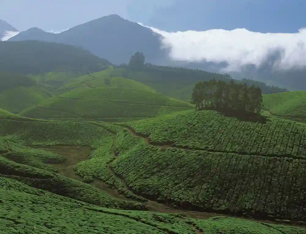 Kerela, Indien