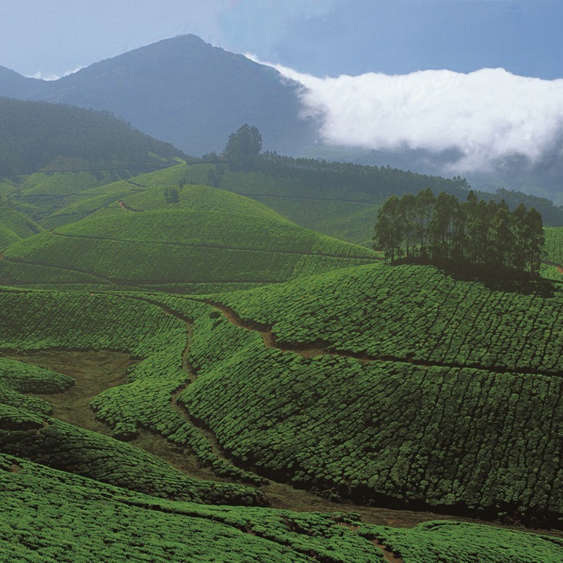 Kerela, Indien