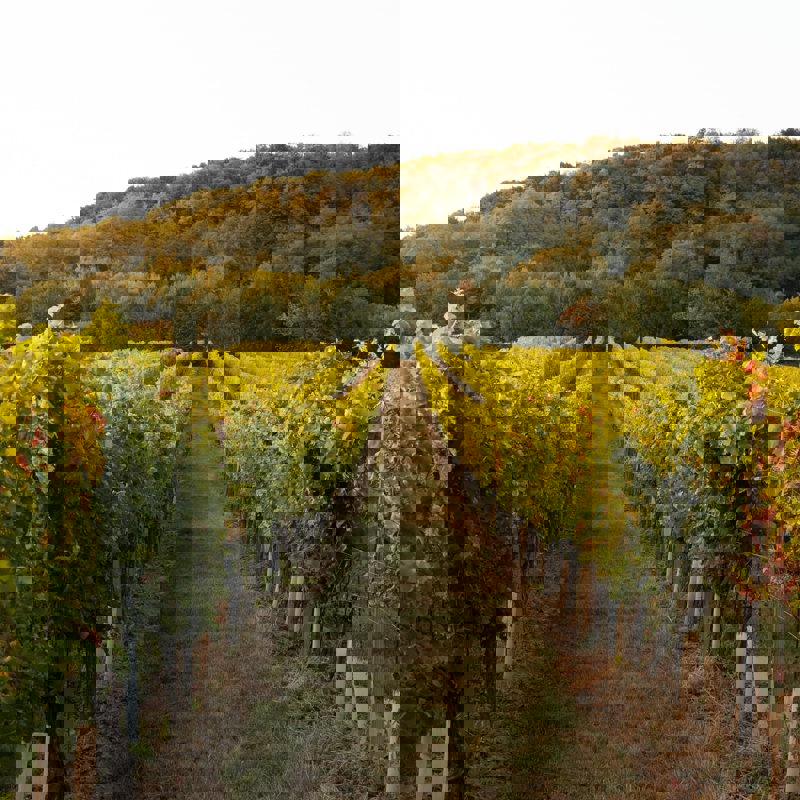 lukas-kulla-zdbbjqfE-ZI-unsplash