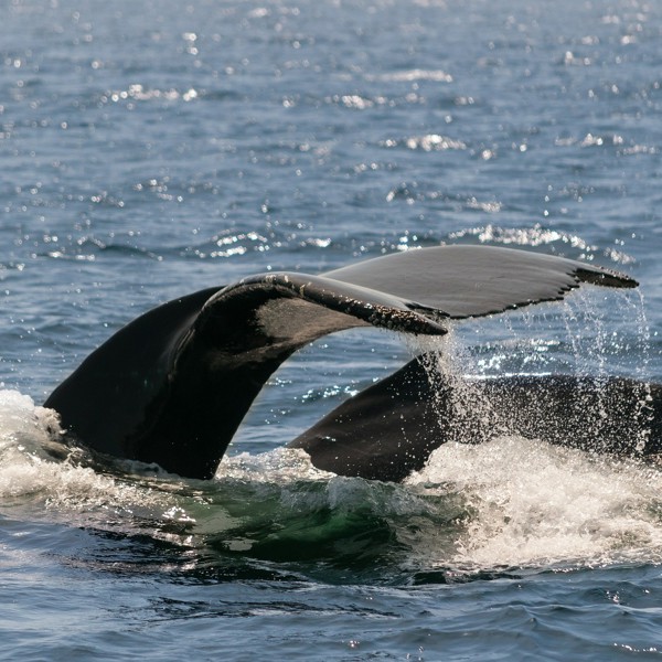 Monterey, USA