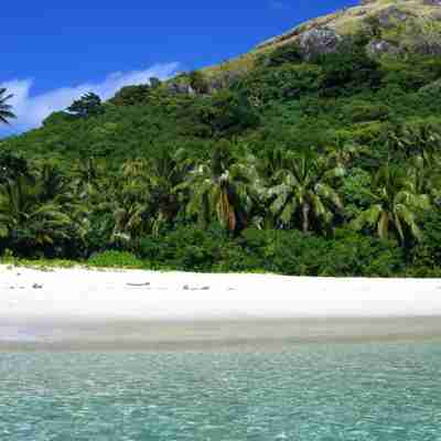 Hvid strand med palmer, Fiji