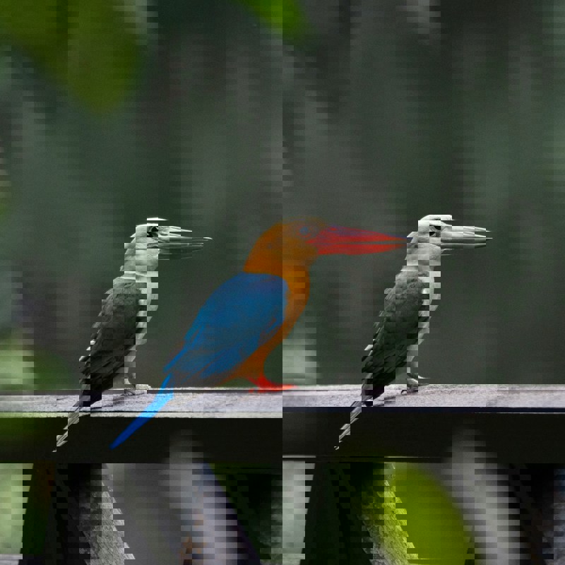 hongbin-XONTogfOwoI-unsplash