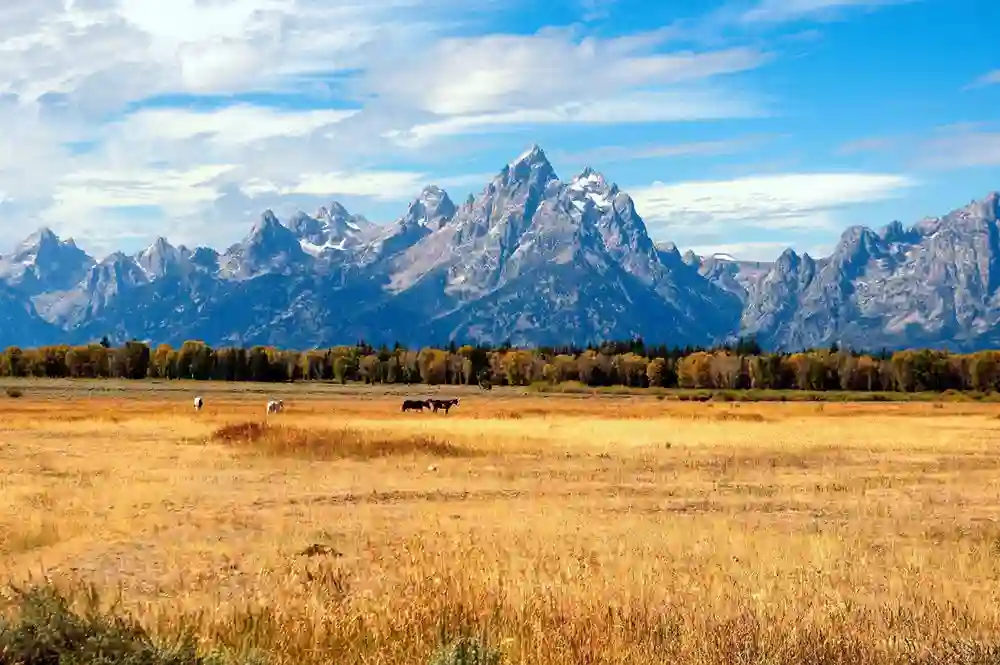 Jackson WY