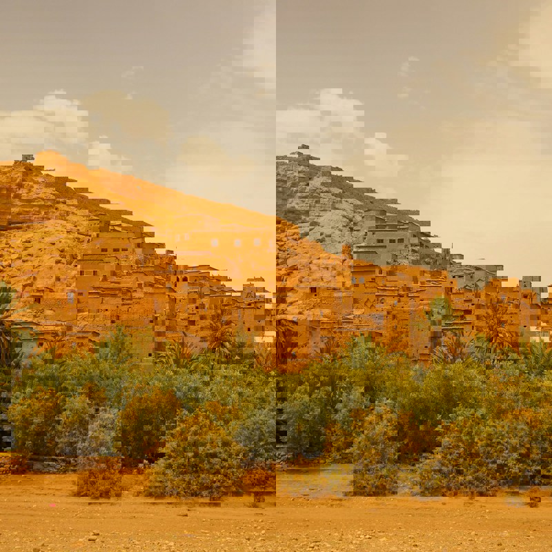 theresia-hent-JxmwwUogAYE-unsplash