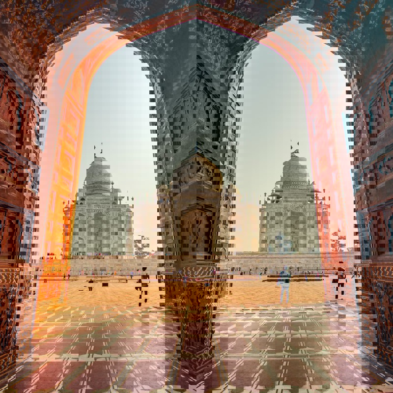 sylwia-bartyzel-eU4pipU_8HA-unsplash