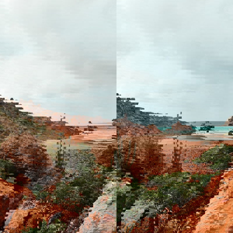 morgan-newnham-Bz8ESHzvSXA-unsplash