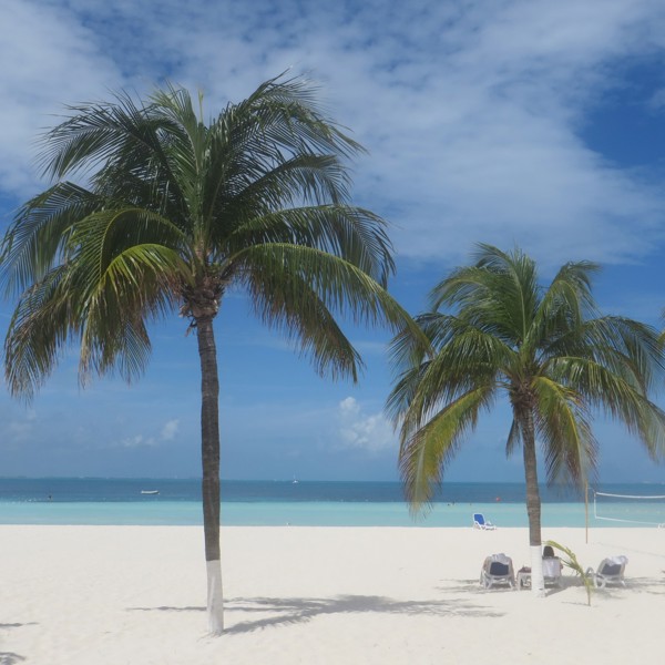 Palmer i Cancun