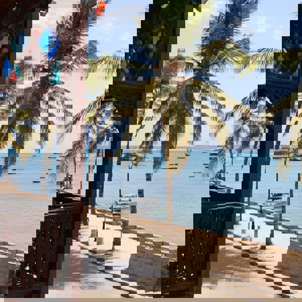 Udsigt over palmer og hav