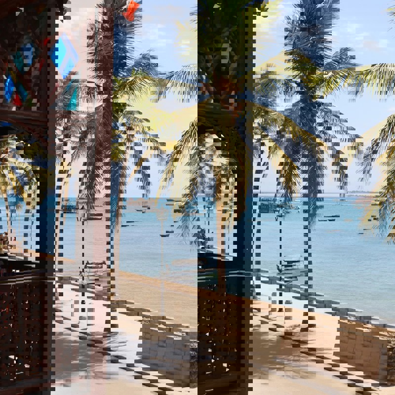 Udsigt over palmer og hav