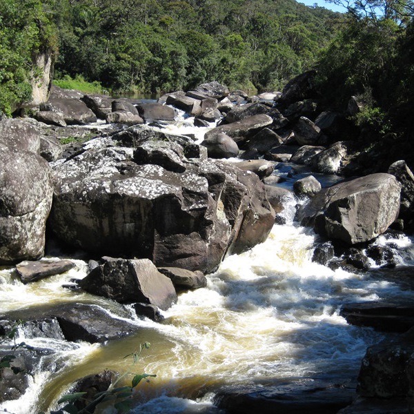 Madagaskar - Ranomafana