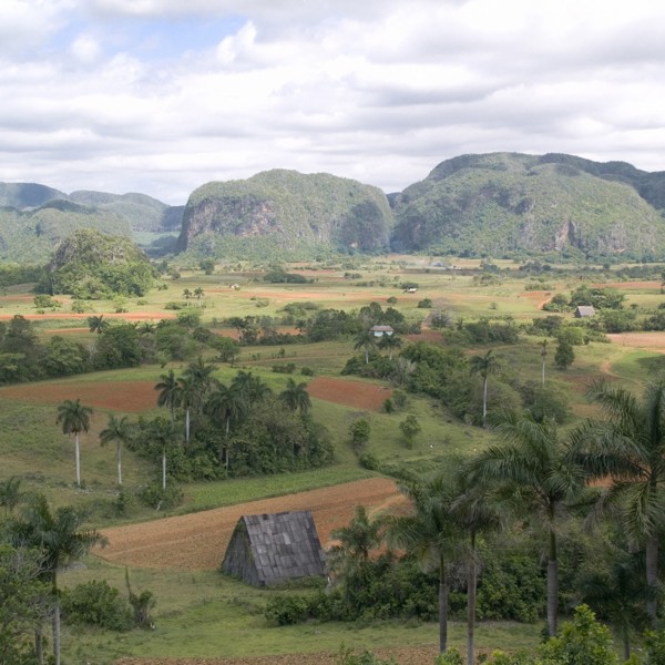 viñales mogotes bjerge