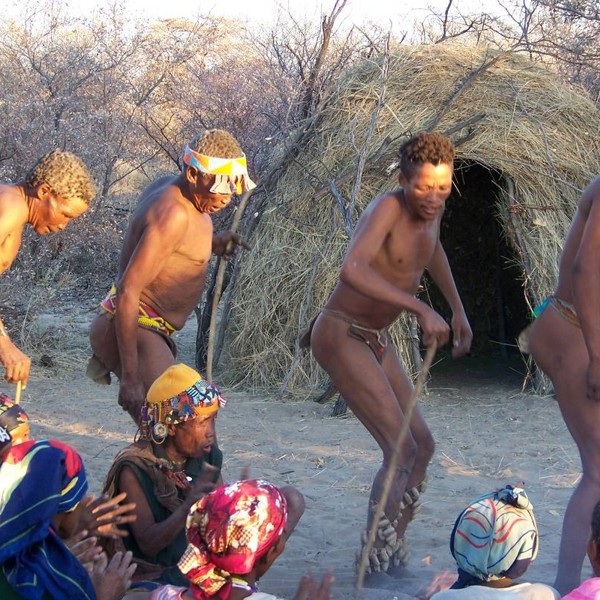 Bushmen, Afrika