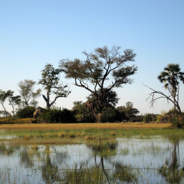 Botswana - Okavango