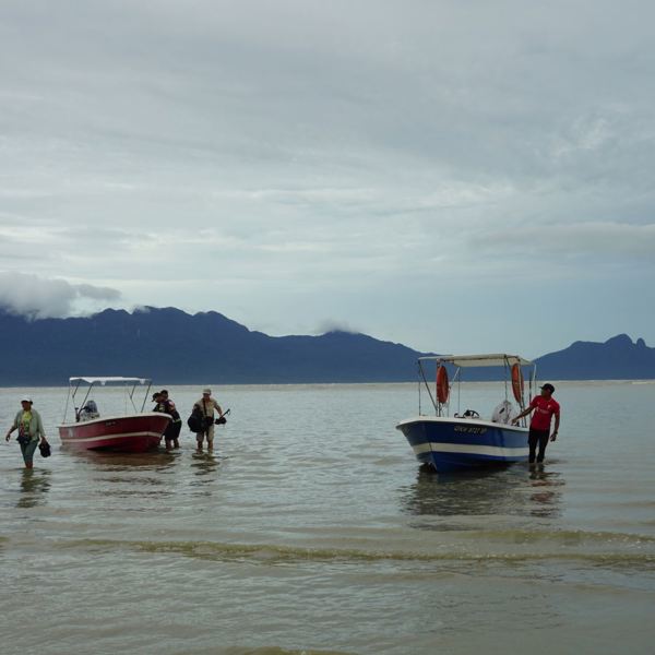 Bako nationalpark - Borneo