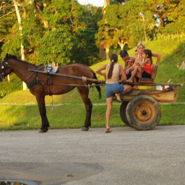 las terrazas hestevogn