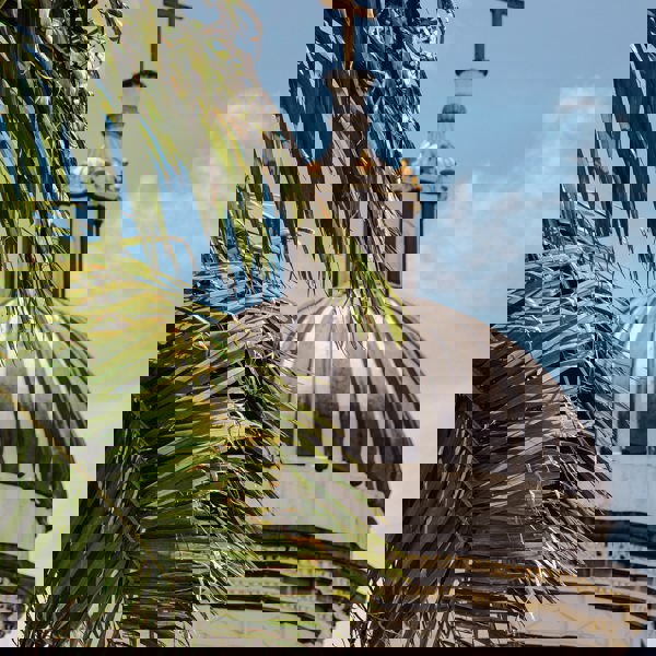 Bytårne stikker op mellem palmernes trætop i Nicaragua