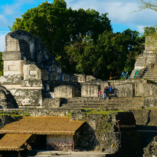 Tikal Nationalpark overview