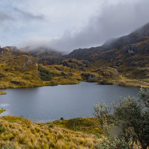 Ecuador - El Cajas
