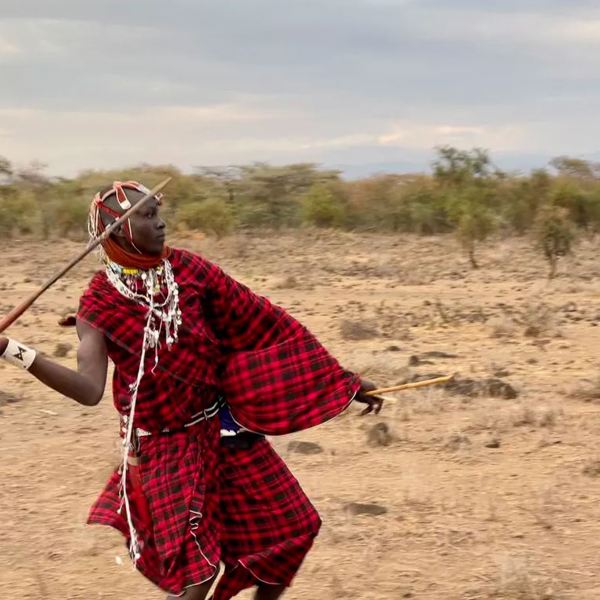 Tanzania - Tinga Tinga