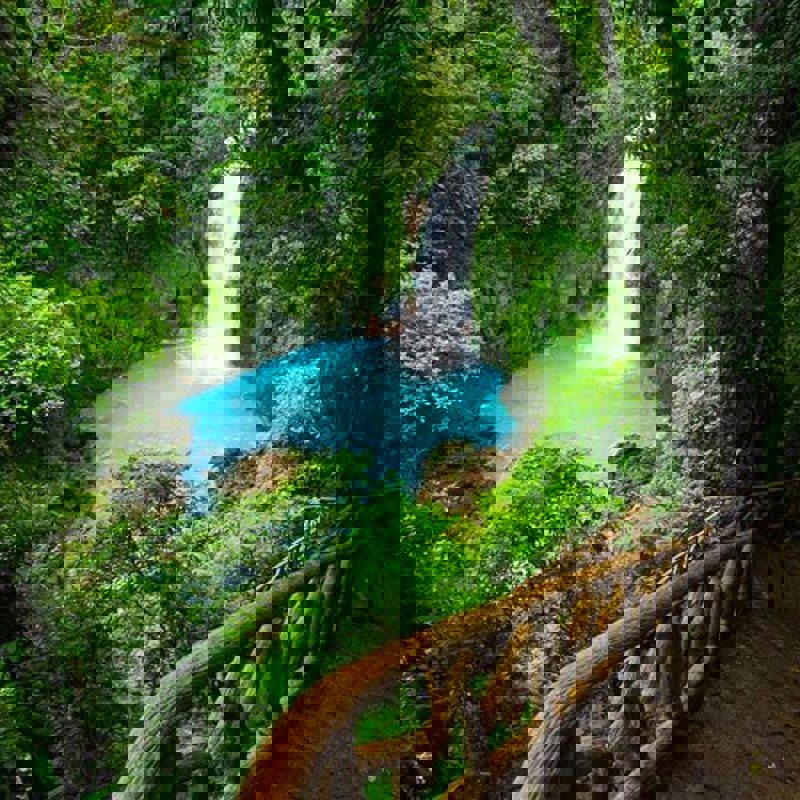 I:\AXUMIMAGES\Mellemamerika\Costa Rica\Rio Celeste og Tenorio\Rio Celeste