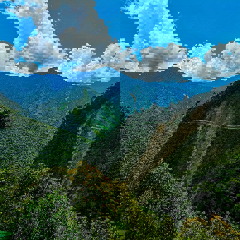 florian-delee-8dl7jUWlhs8-unsplash