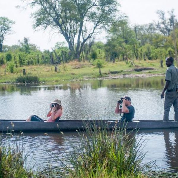 Safari Botswana
