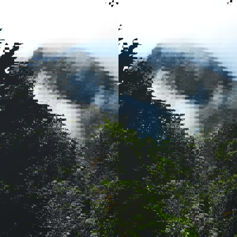 szabolcs-toth-QInWybktc1w-unsplash