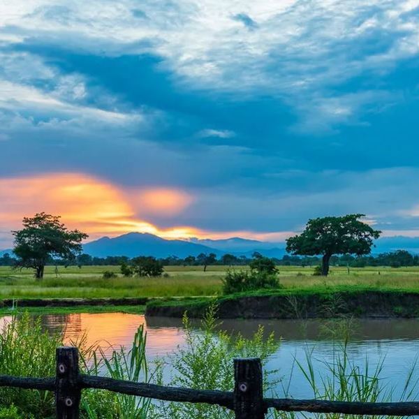 Tanzania - Mikumi Nationalpark