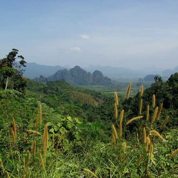 Frodige landskaber omkring Khao Sok, Thailand