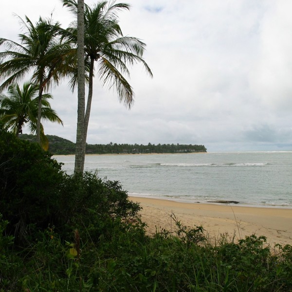 Praia Espelho