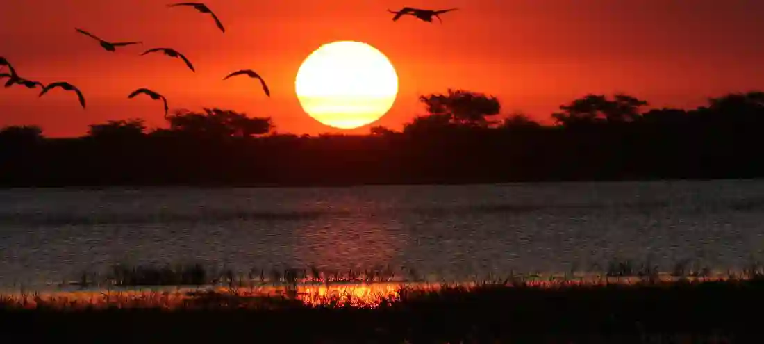 Solnedgang i Chobe National Park