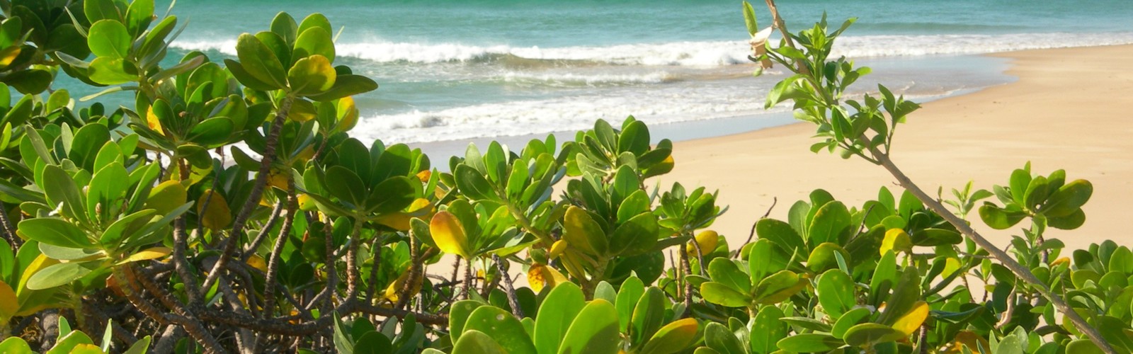 Day_7_-8_Vilanculous_Mozambique