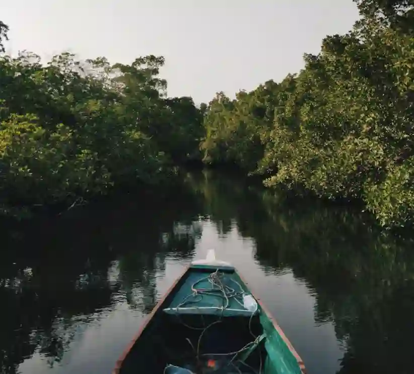 Senegal - Sine Saloum