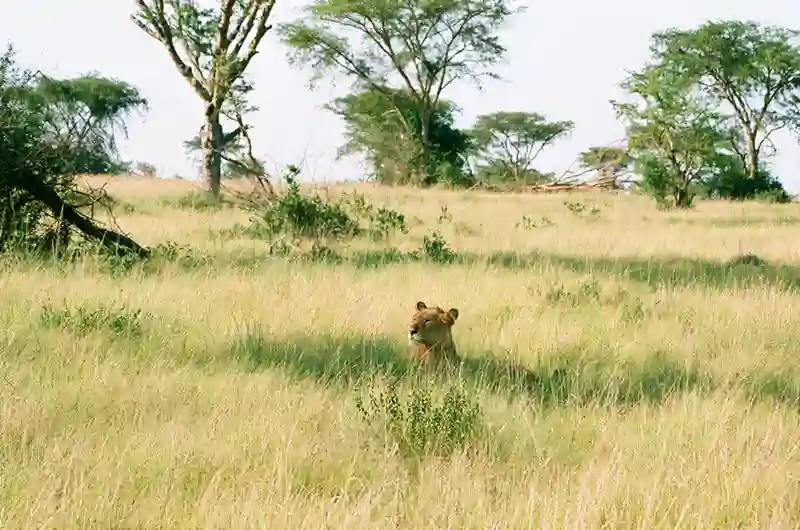 rejser til Queen Elizabeth National Park