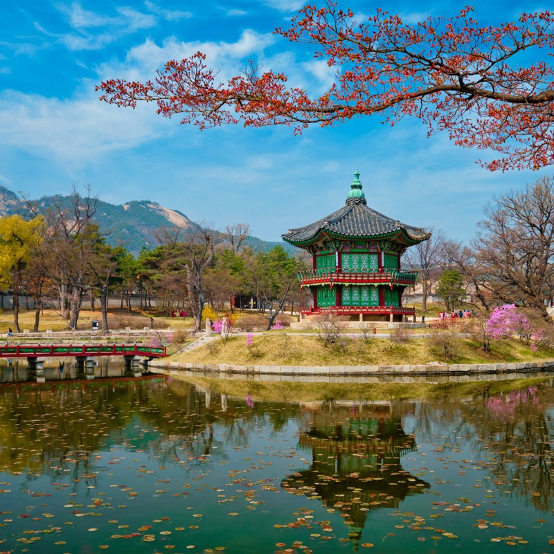 Sydkorea (Unsplash)
