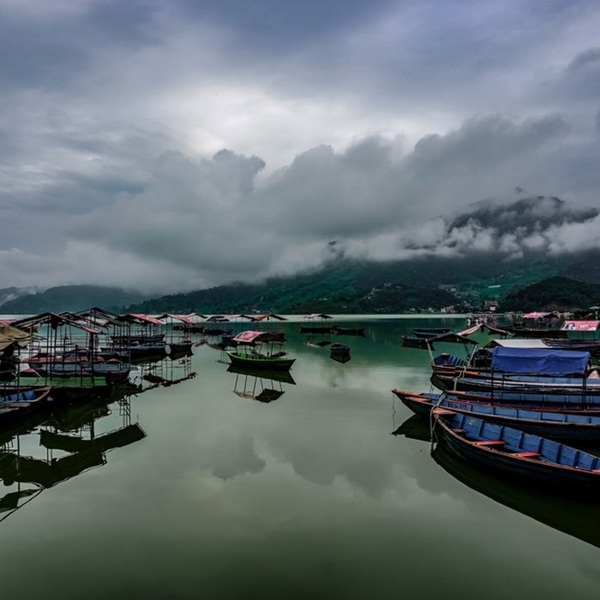 phewa sø pokhara