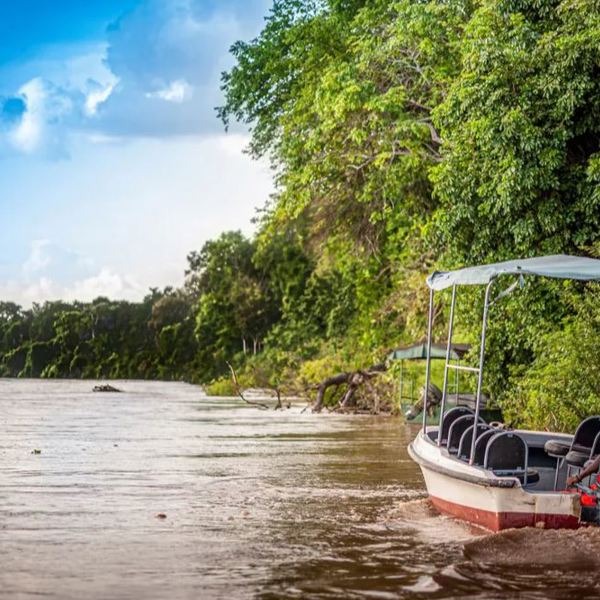 Tanzania - Nyerere Nationalpark - Bådsafari