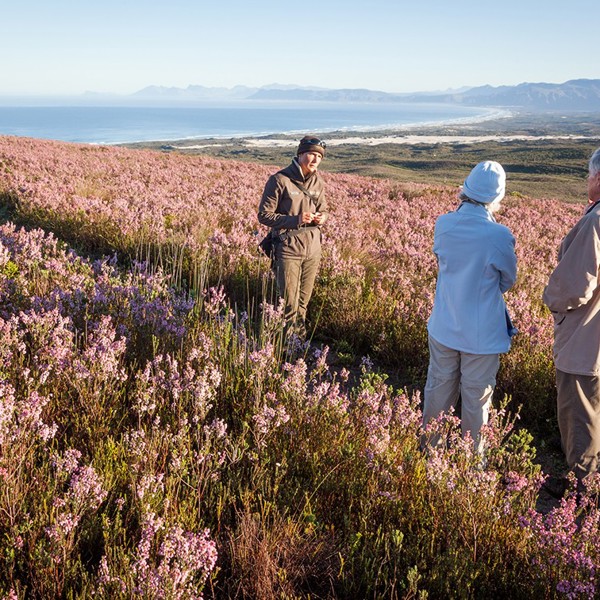 Vandretur ved Groosbos, Sydafrika