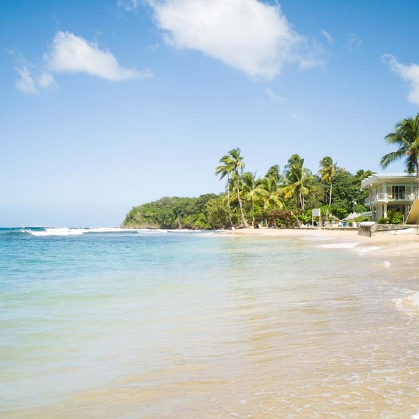 Mount Irvine, Trinidad & Tobago