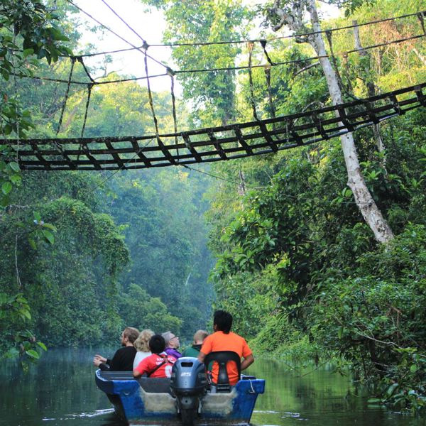 Kinabatangang River - Borneo