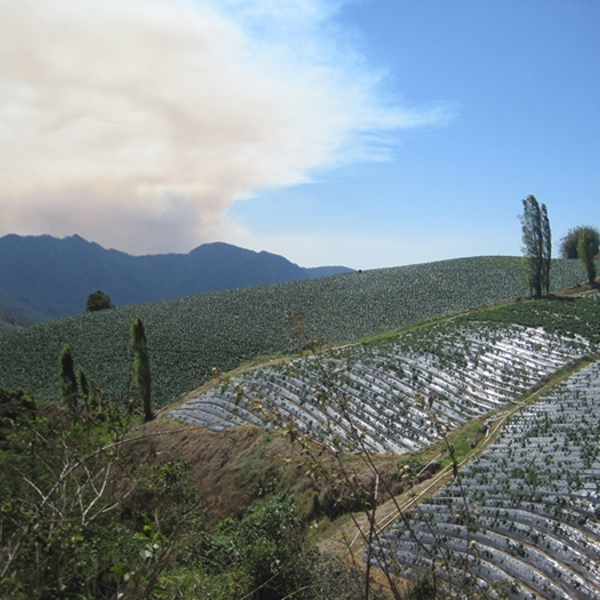 Udsigt til bjergene i Constanza